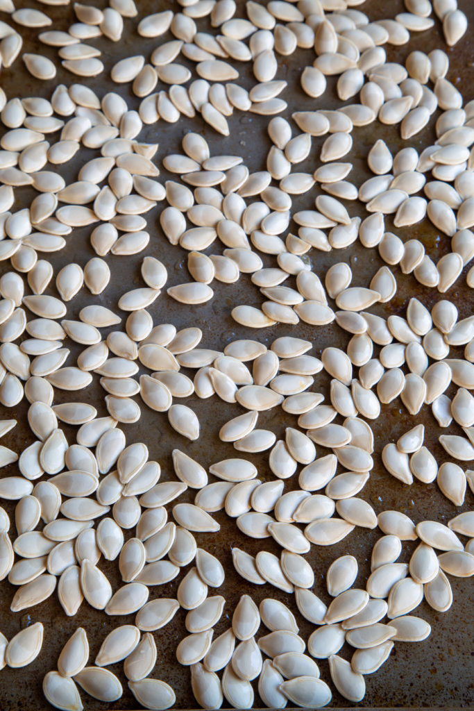 Fresh Pumpkin Seeds laid out to dry