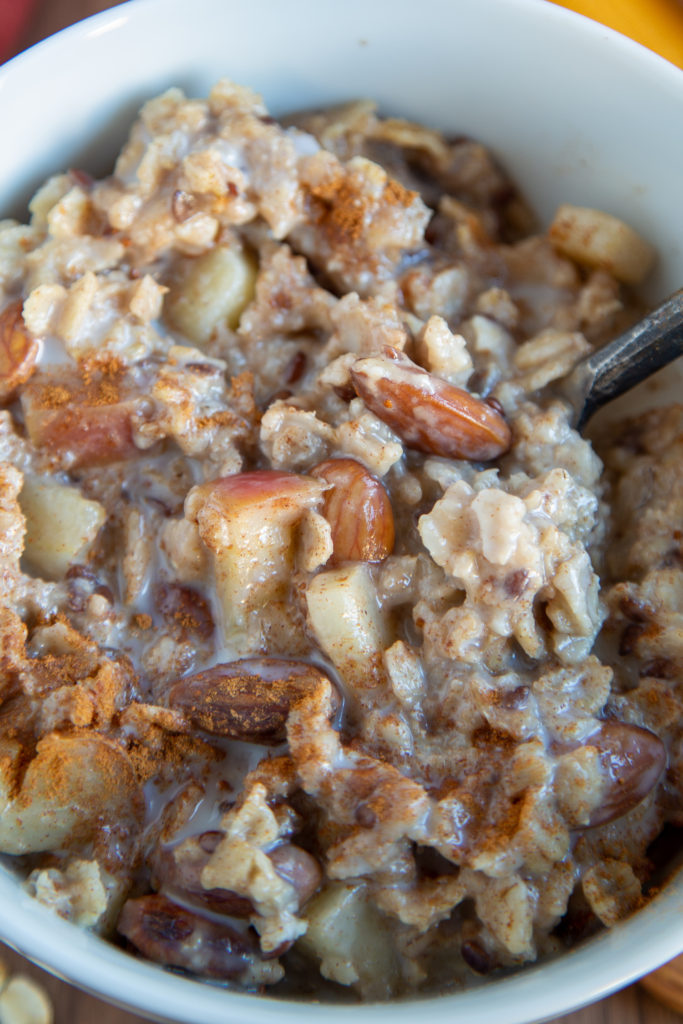 Close up shot of Fresh Apple Cinnamon Oatmeal