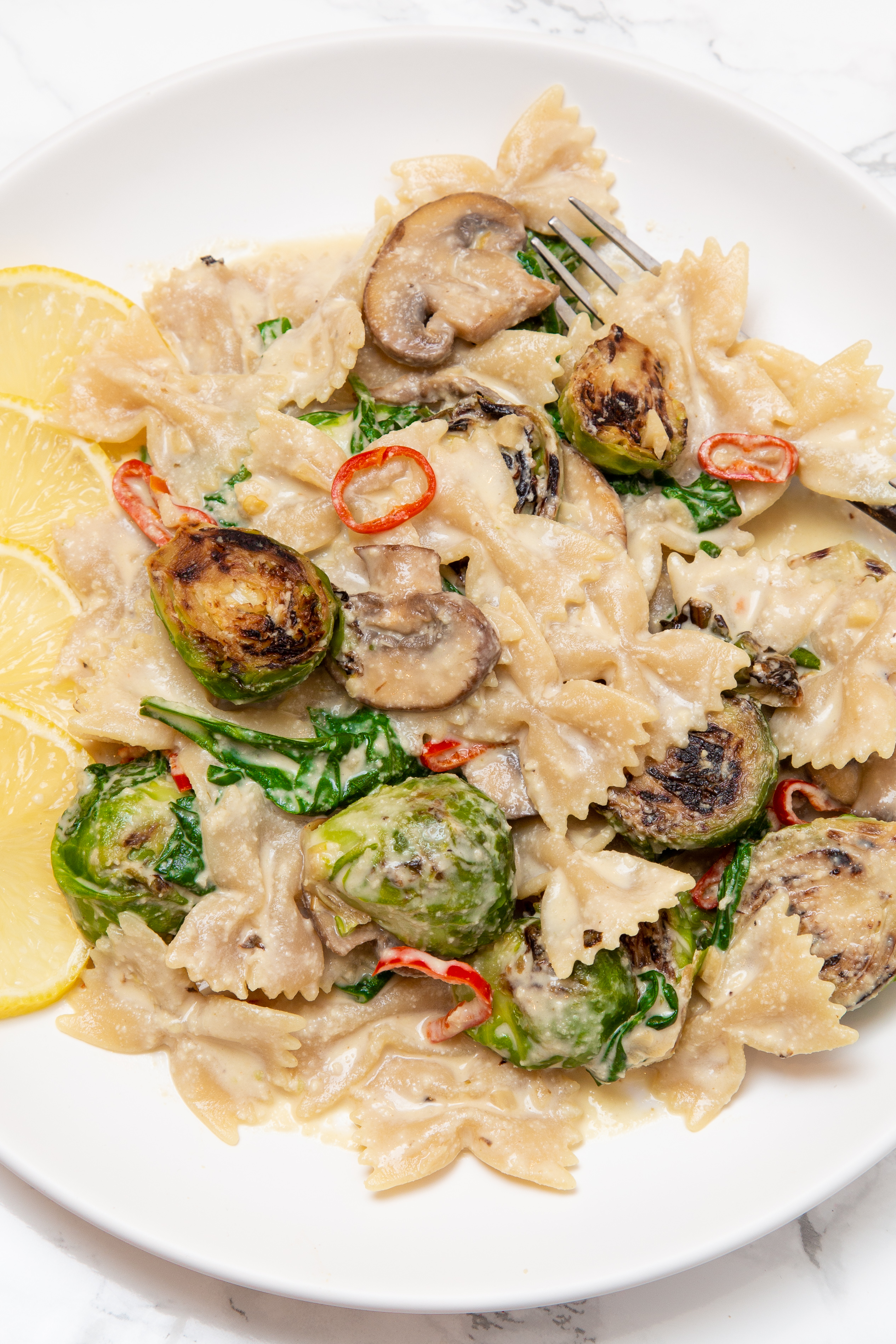 Overhead view of plate of Creamy Autumn Pasta